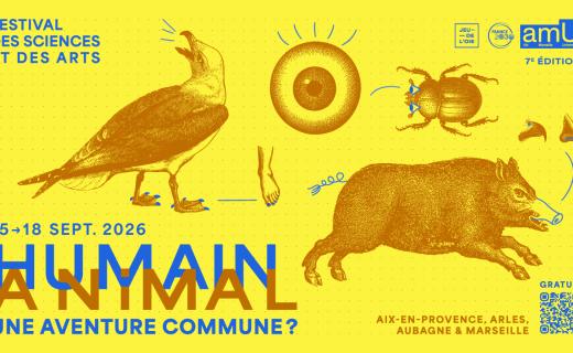 affiche festival des sciences et des arts 2026