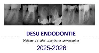 Présentation DESU ENDO 25-26