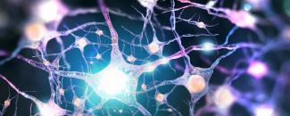 Réseau neuronal Système nerveux humain (illustration 3D)